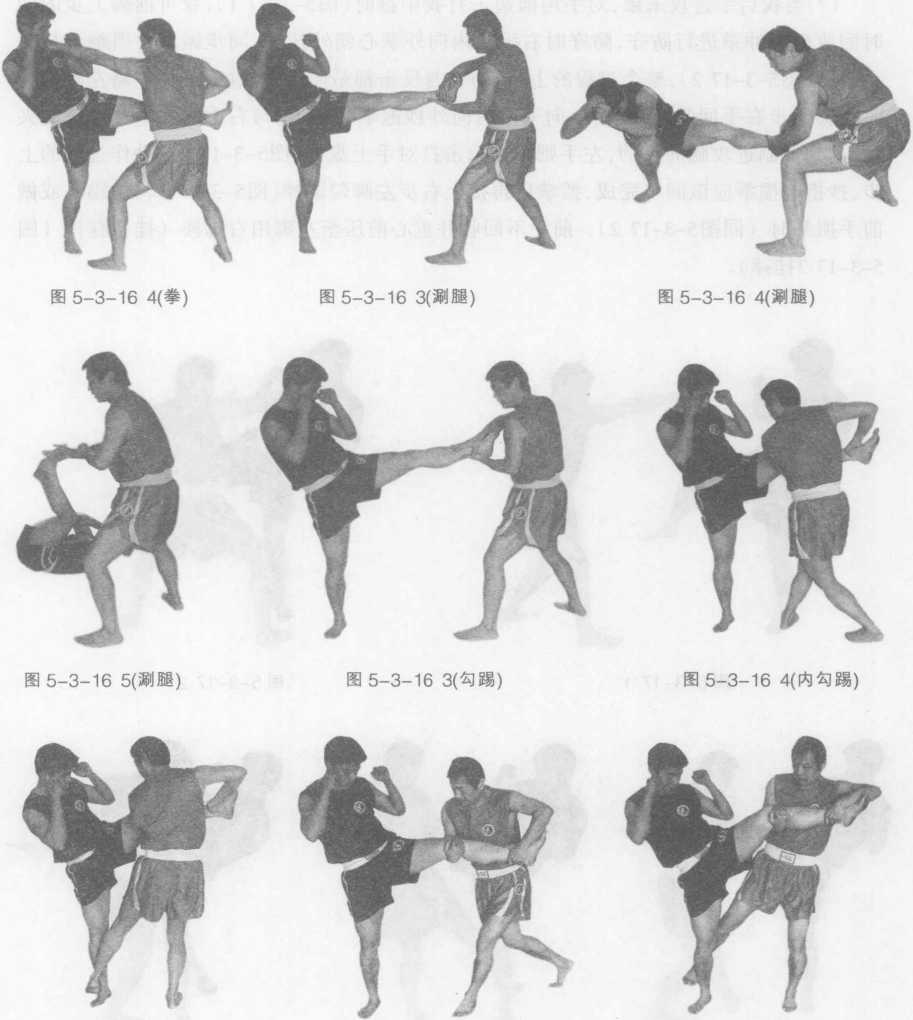 散打技击学